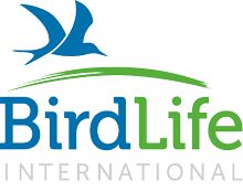 1521111966-bird