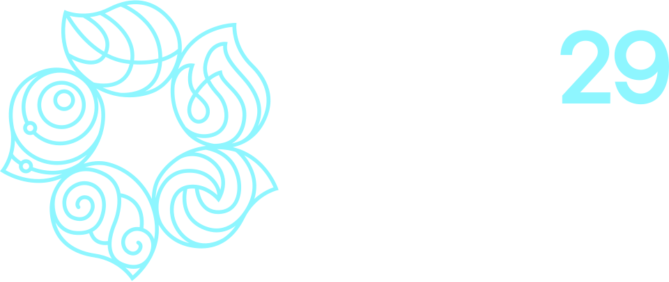 COP29
